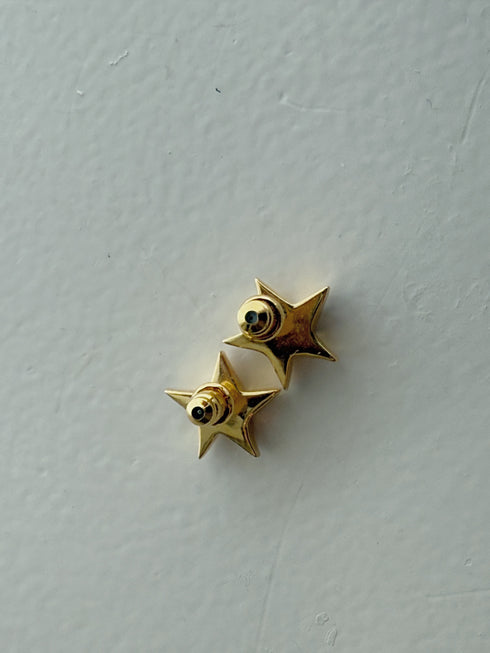 ✧ NEW ✧ star pierce/earring(予約商品)